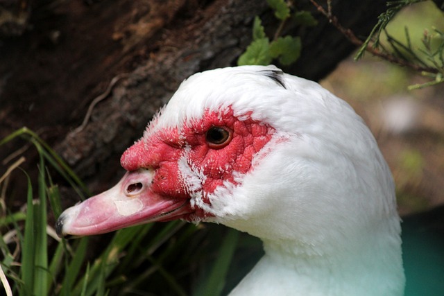 新鲜名字出 新鲜名字出
