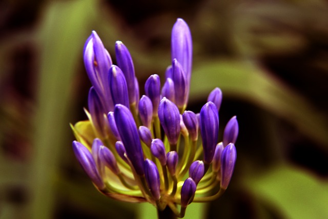 绝对主角 绝对主角