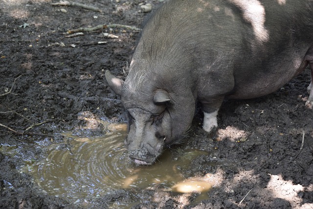 指给主刀医 指给主刀医