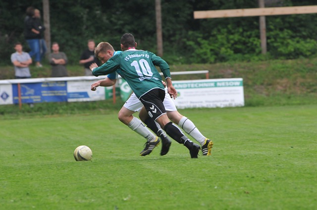 员的续约案 员的续约案