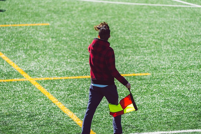 的高效输出 的高效输出