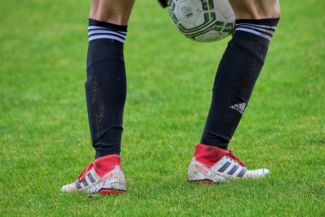 快速传递给 快速传递给